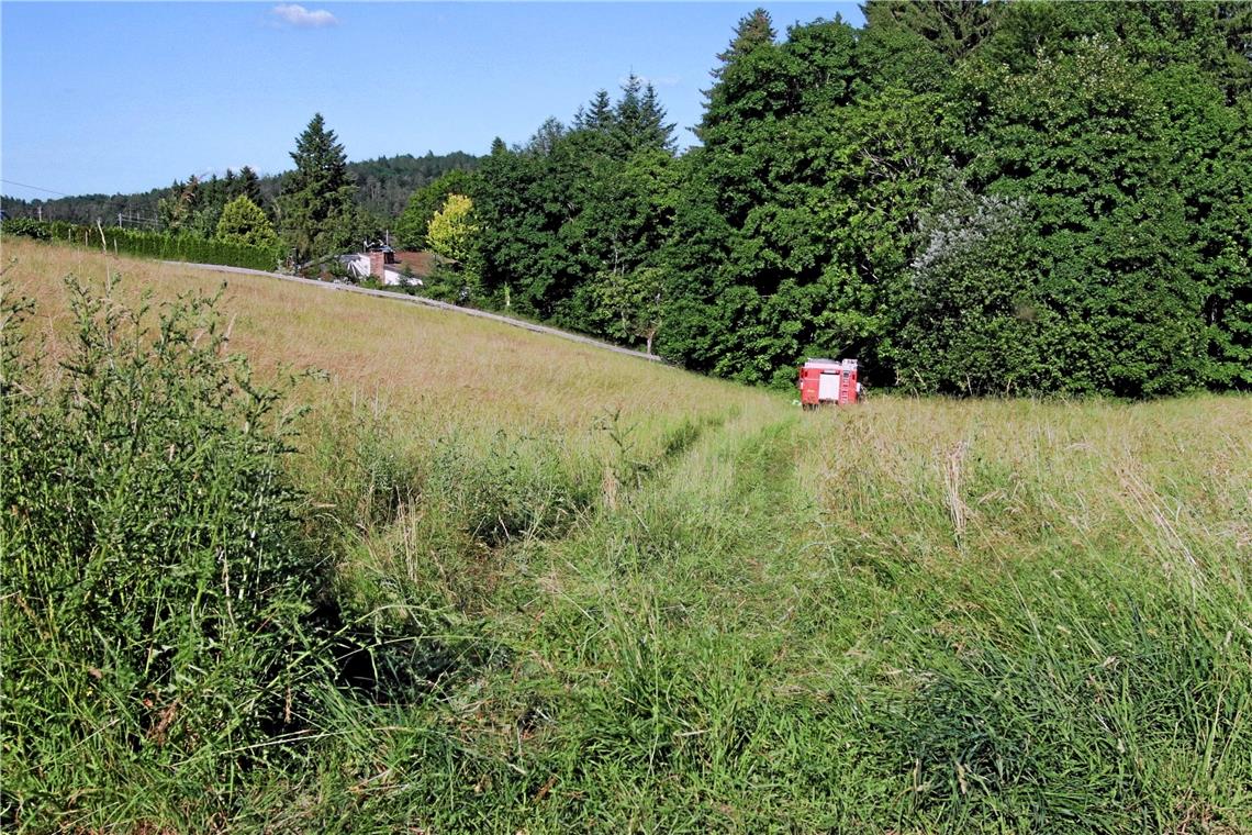 Mann stirbt bei Unfall in Althütte