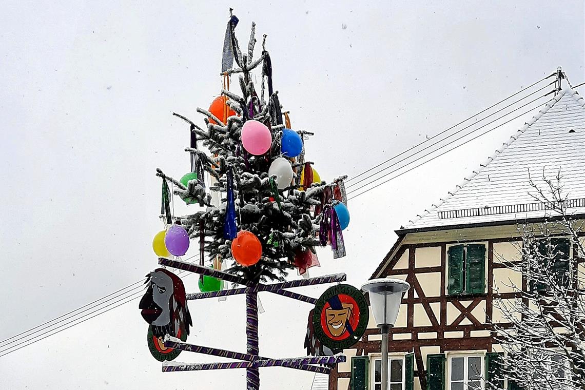 Fastnacht erneut auf Sparflamme