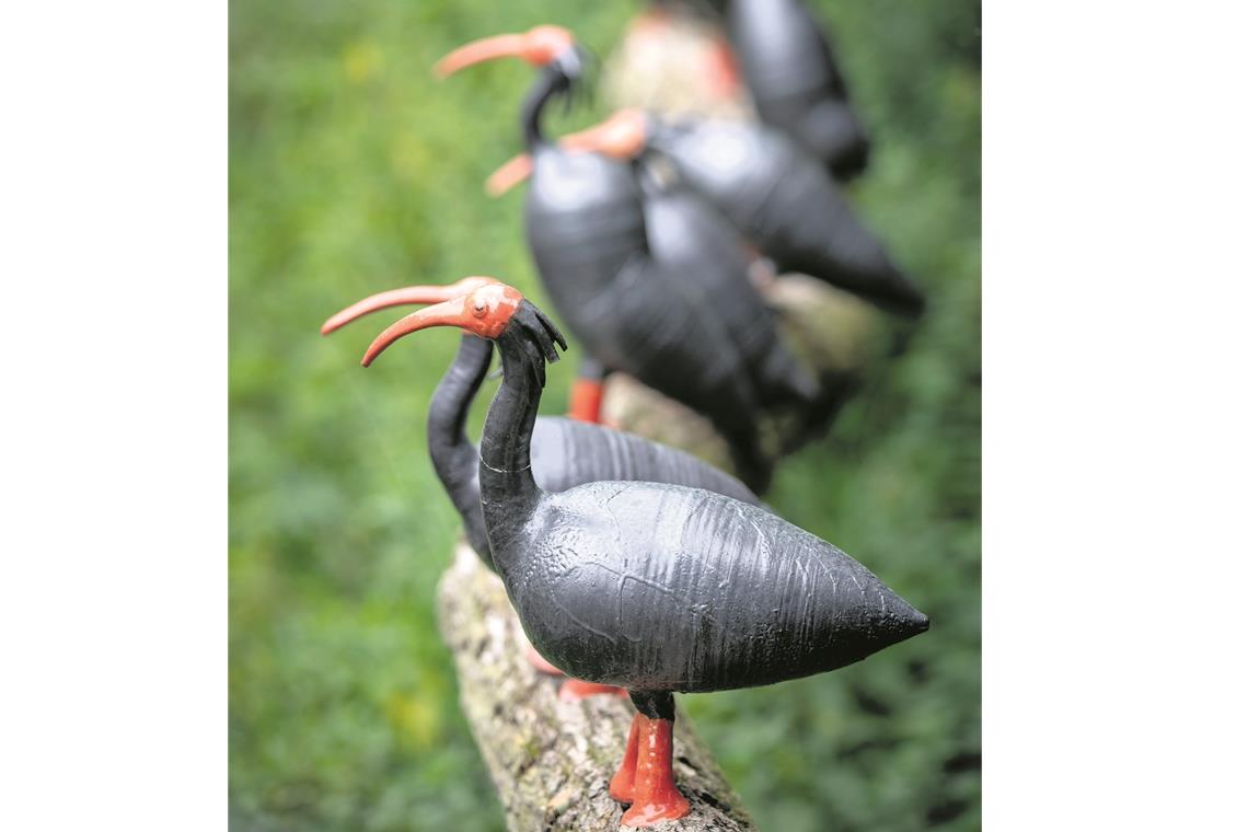 Vandalen zerstören Vogelgruppe