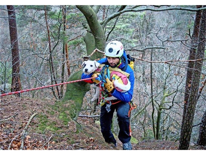 Hund landet bei Jagd aufFelsvorsprung