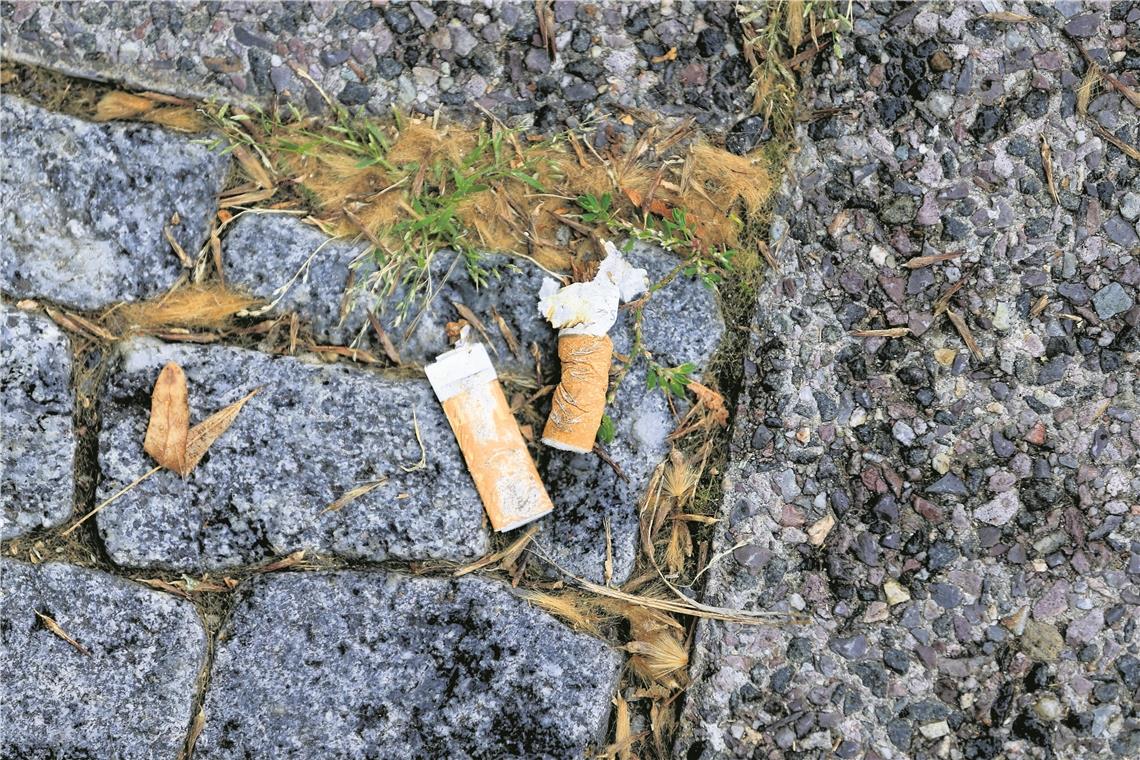 Die Umwelt als Aschenbecher Die Umwelt als Aschenbecher