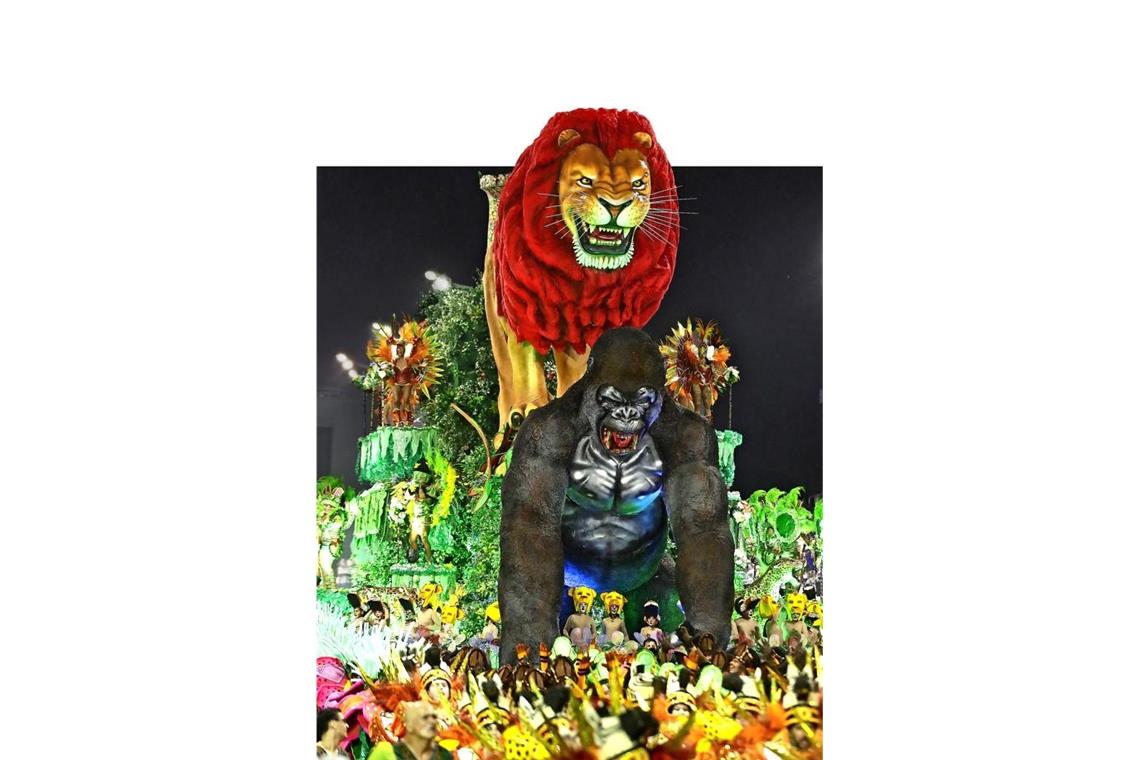 Wilder Karneval in Rio Wilder Karneval in Rio