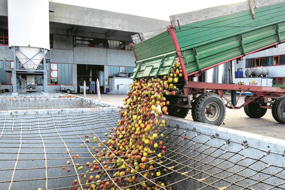 Genug Apfelsaft trotz schlechter Ernte