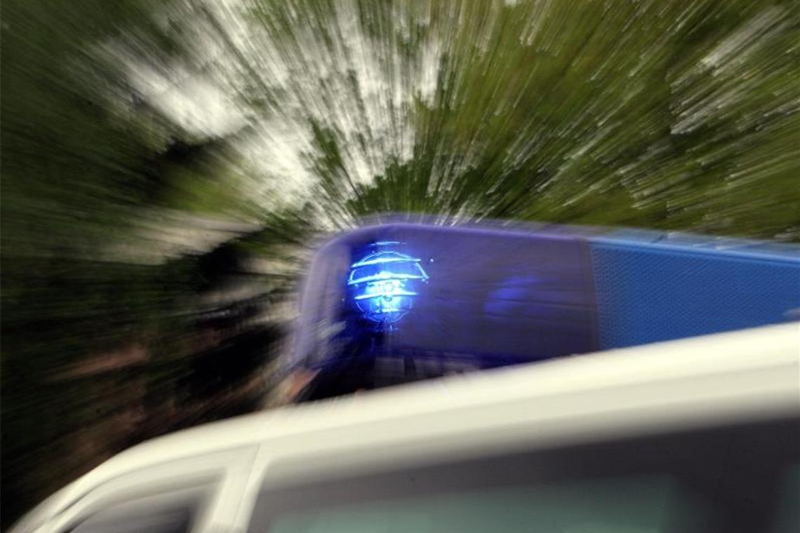 Rettungshund findet verwirrte Seniorin Rettungshund findet verwirrte Seniorin