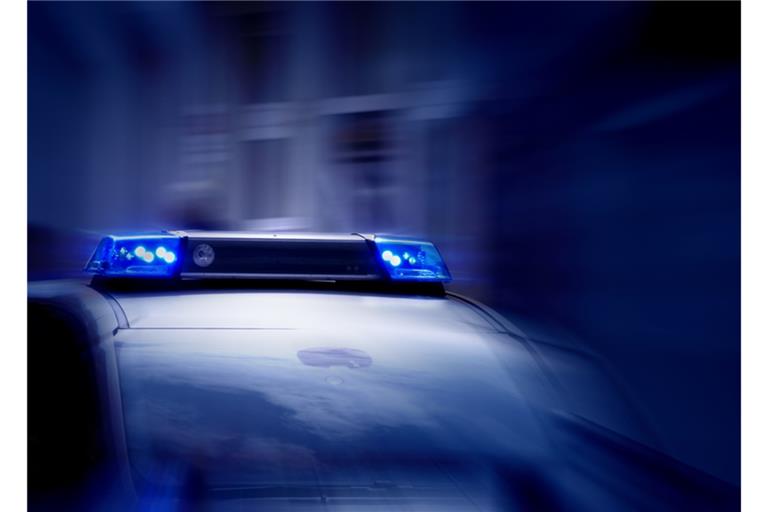 Jugendliche Übeltäter gefasst