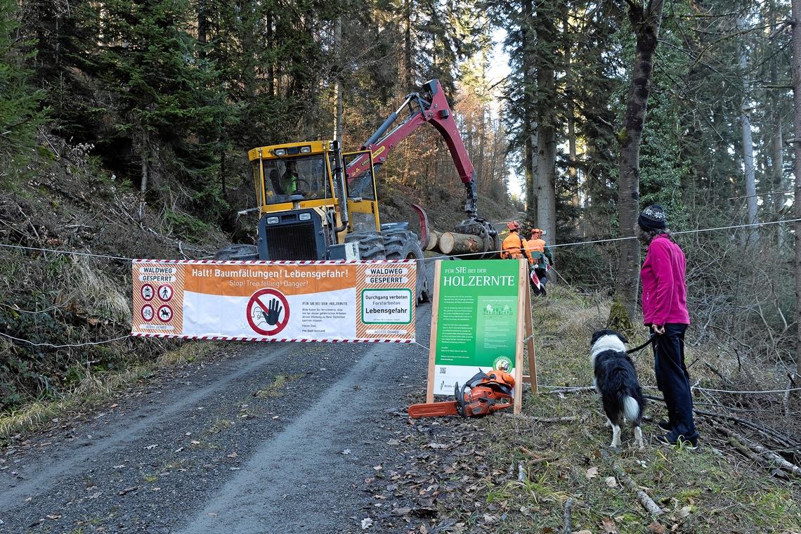 Lebensgefahr im Wald Lebensgefahr im Wald