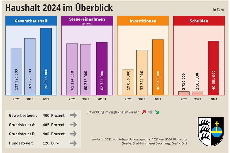 Backnanger Stadträte diskutieren über Bundespolitik