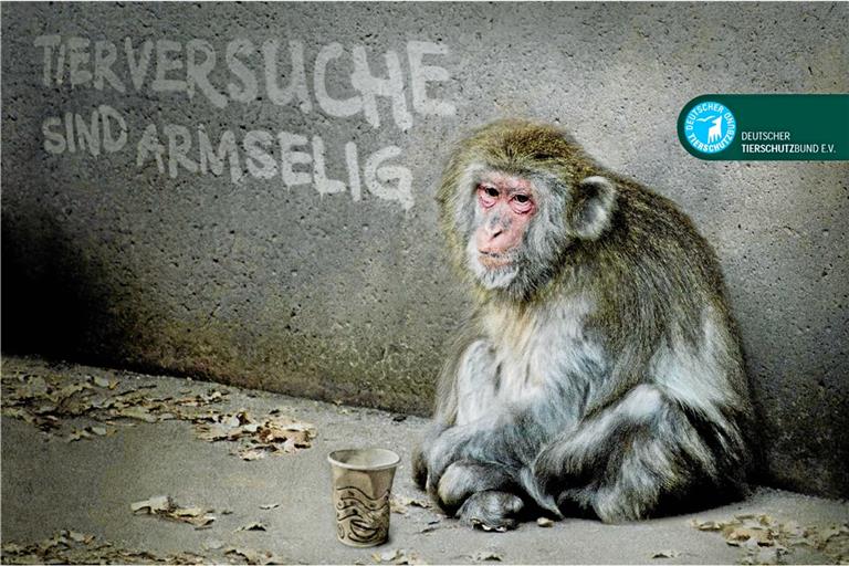 Tierversuche –
nein danke!