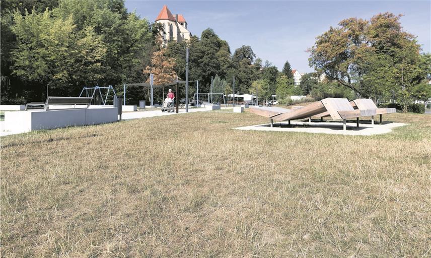 Grünflächen leiden unter der Hitze
