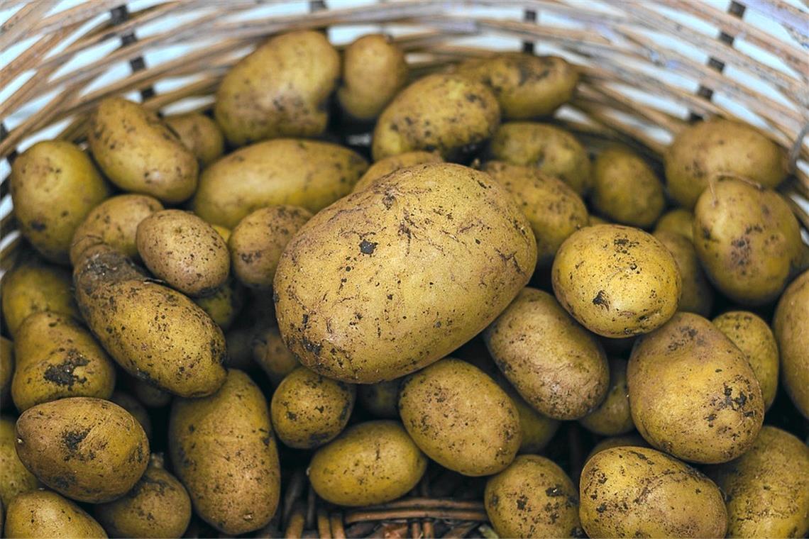 Unbekannte entwenden 350 Kilo Kartoffeln Unbekannte entwenden 350 Kilo Kartoffeln