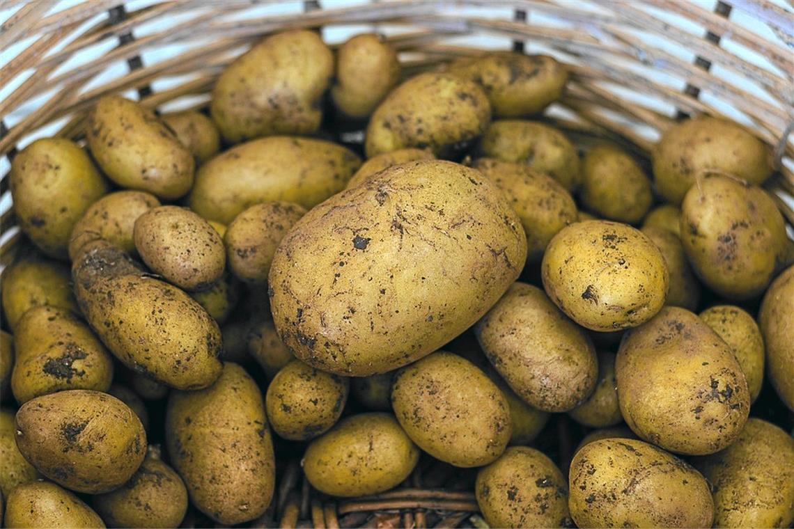 Unbekannte entwenden 350 Kilo Kartoffeln