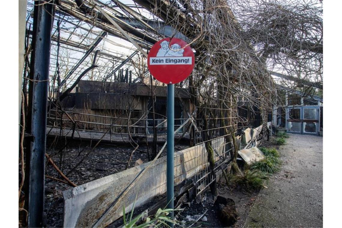 Bilder, Plüschtiere und Kerzen erinnern vor dem Krefelder Zoo an die toten Tiere. Foto: Marcel Kusch/dpa