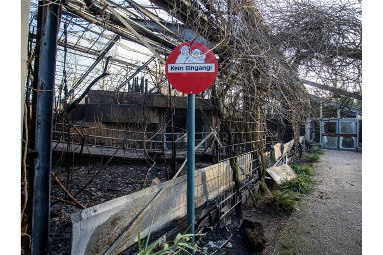 Bilder, Plüschtiere und Kerzen erinnern vor dem Krefelder Zoo an die toten Tiere. Foto: Marcel Kusch/dpa