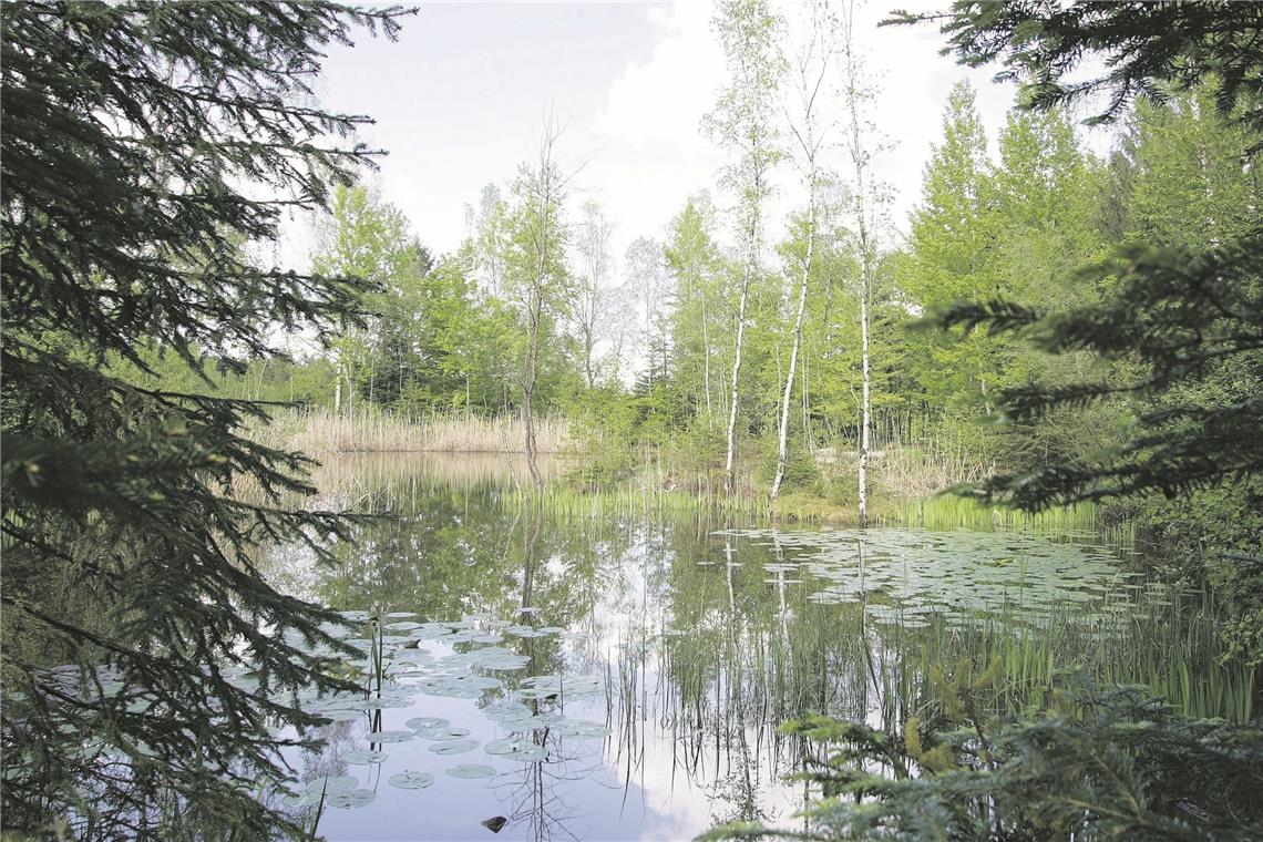 Spezialisten erfassen Offenland-Biotope im Kreis