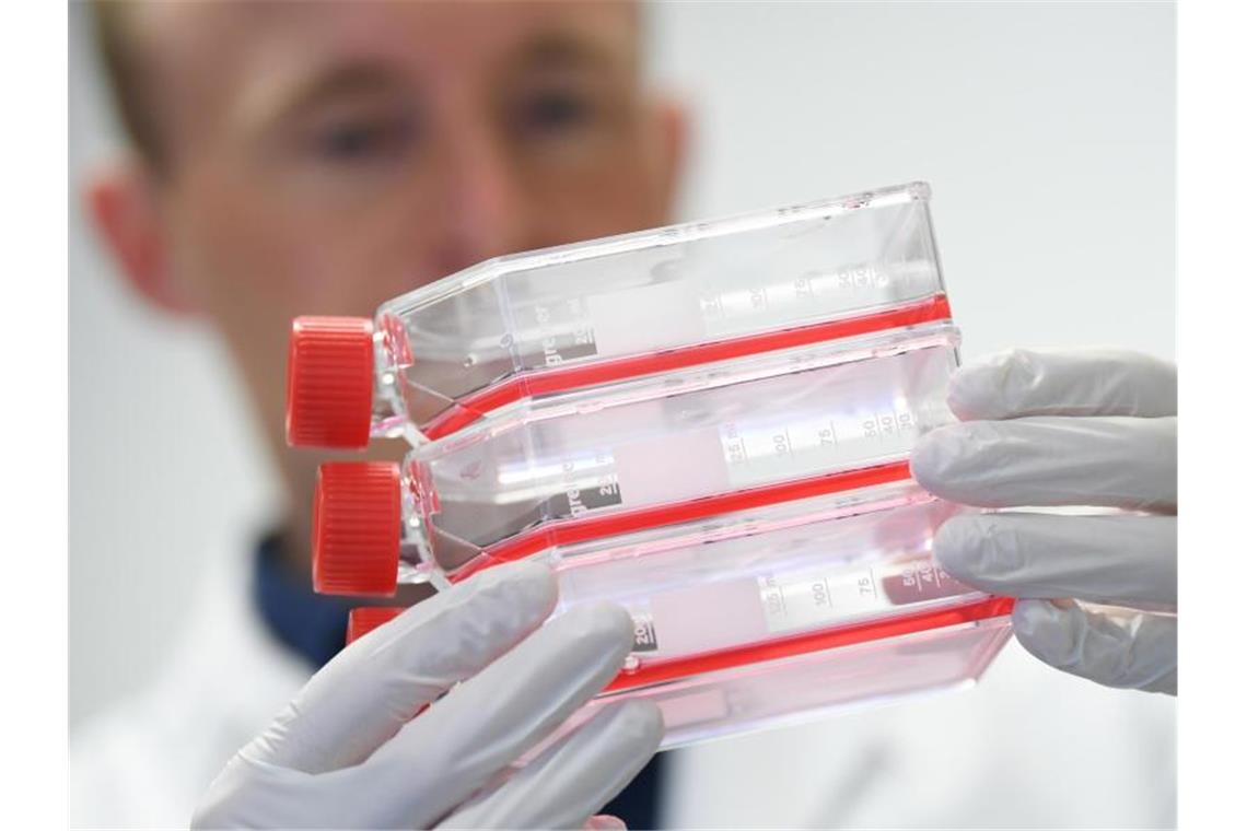 „Stresstest“ durch Virus: Deutsche Firmen haben zu kämpfen Bis ein Impstoff gegen das Coronavirus gefunden wird, leidet die deutsche Industrie sehr unter den Folgen der Lungenkrankheit. Foto: Arne Dedert/dpa