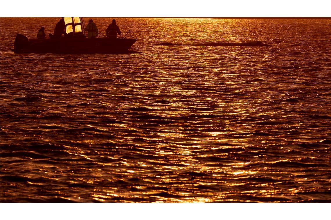 Bis in die Abendstunden arbeiteten die Helfer am Wal.