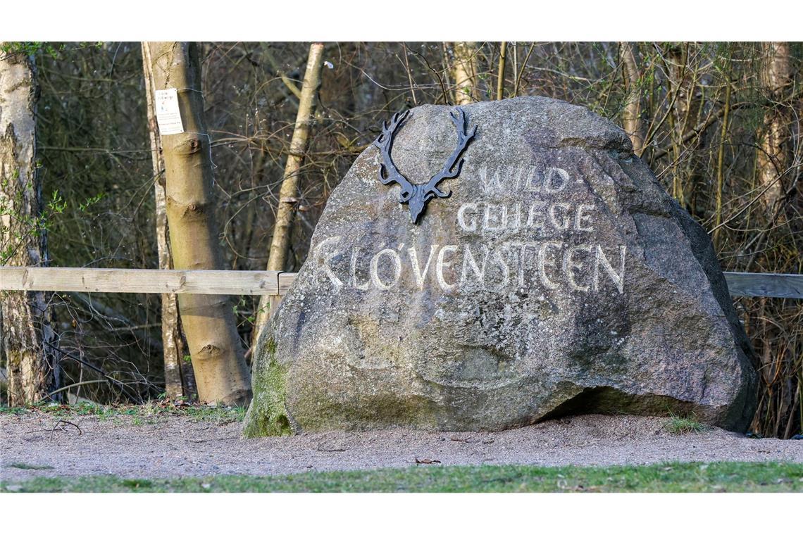 Bis zu seinem Transport nach Niedersachsen war der Wolf im Wildgehege Klövensteen untergebracht und tiermedizinisch versorgt worden.