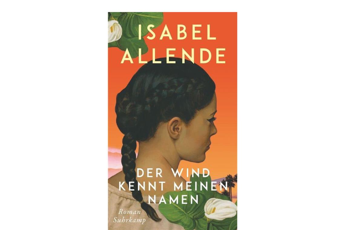 Das sind die besten Bücher für die Bescherung