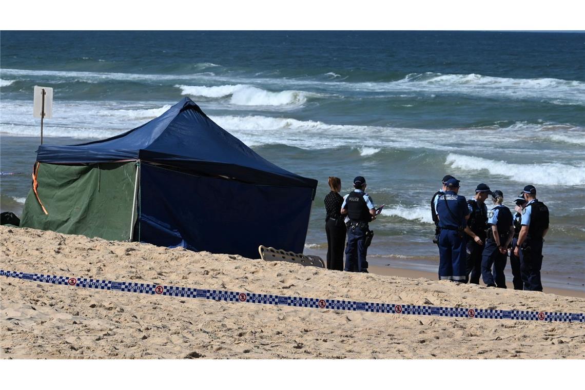 Bissspuren deuten darauf hin, dass der Surfer Opfer eines Weißen Hais wurde.