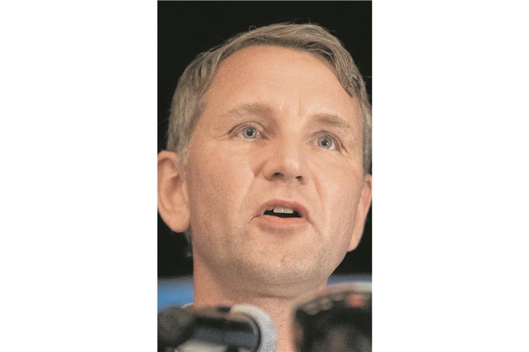 Björn Höcke Foto: Imago