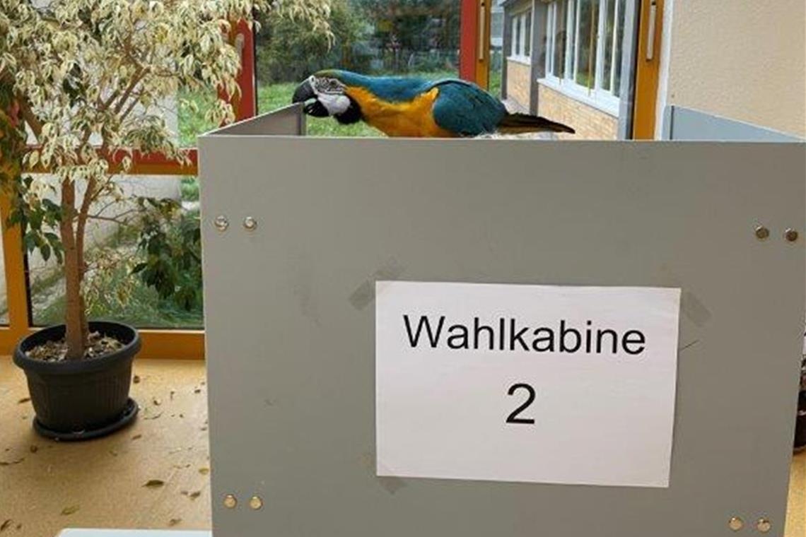 Tierischer Wahlbeobachter in Althütte Blau, Gelb, Grün oder Schwarz? Die Farben des Ara lassen keine Rückschlüsse auf das Wahlverhalten der Besitzerin zu. Foto: R. Sczuka