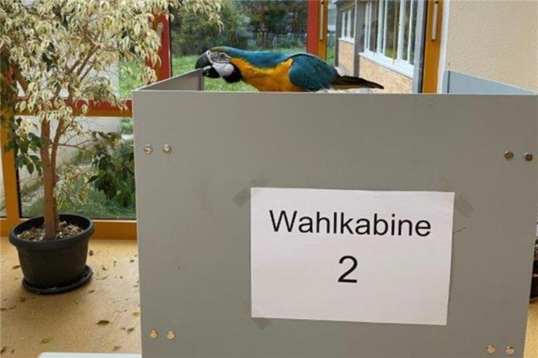 Blau, Gelb, Grün oder Schwarz? Die Farben des Ara lassen keine Rückschlüsse auf das Wahlverhalten der Besitzerin zu. Foto: R. Sczuka