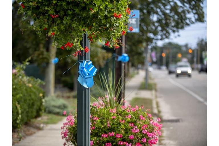Blaue Schleifen hängen zum Gedenken an Gabby Petito in ihrer Heimatstadt Blue Point. Foto: Brittainy Newman/FR171797 AP/dpa