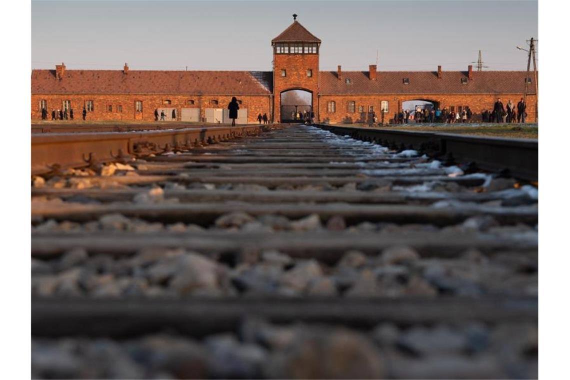 Niederländische Touristin zeigt Hitlergruß in Auschwitz