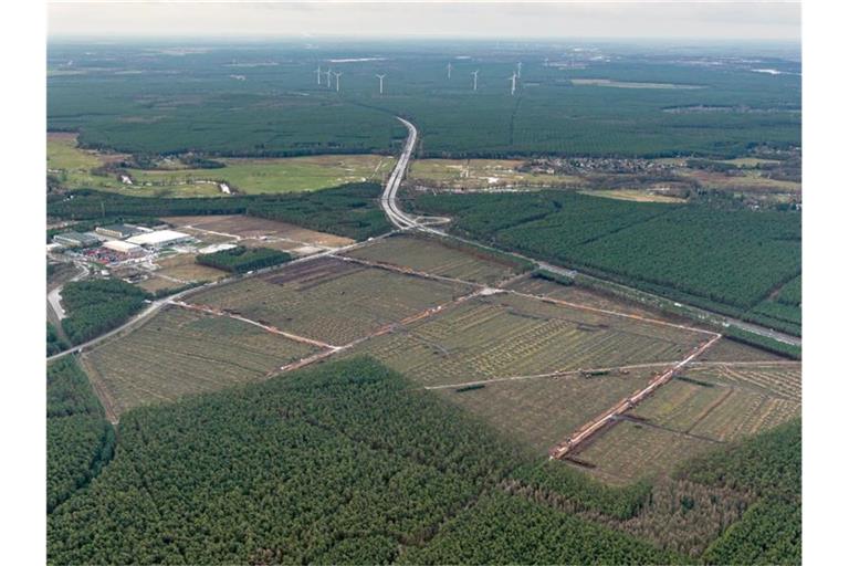 Blick auf das Gelände für die Tesla-Fabrik in Grünheide. Foto: Tino Schöning/dpa