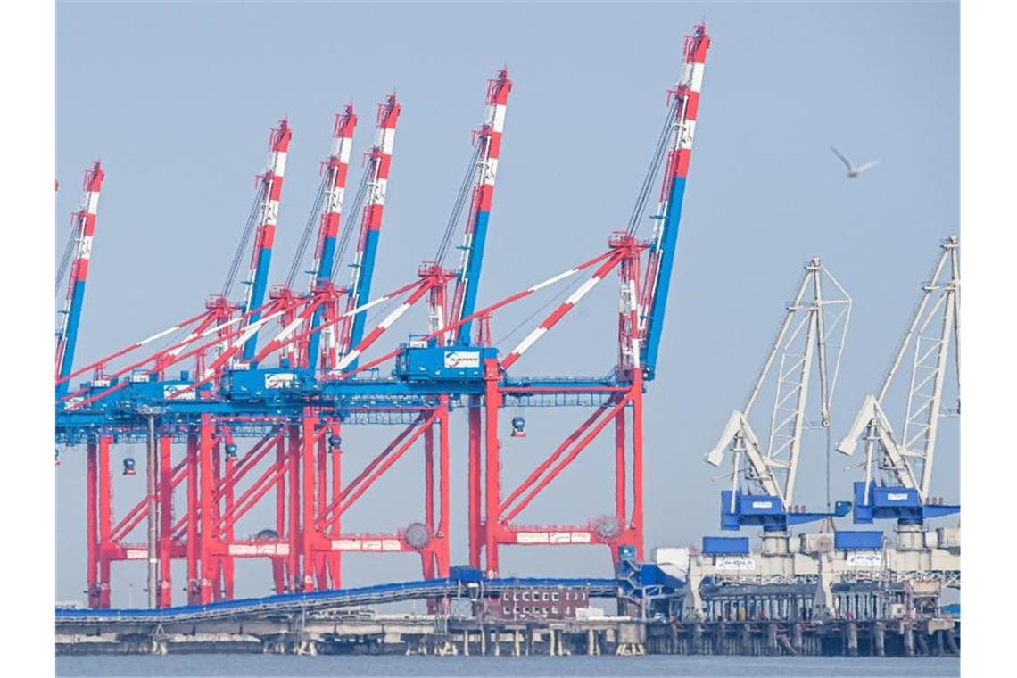 Blick auf den Jade-Weser-Port in Wilhelmshaven. Foto: Sina Schuldt/dpa