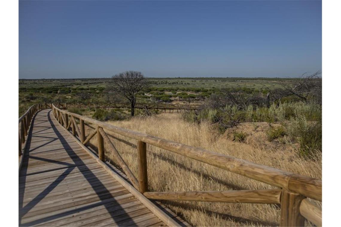 Blick auf den Naturpark von Doñana. In dem 1969 gegründeten Park geht der Grundwasserspiegel schon seit Jahren dramatisch zurück. Foto: María José López/Europapress/dpa