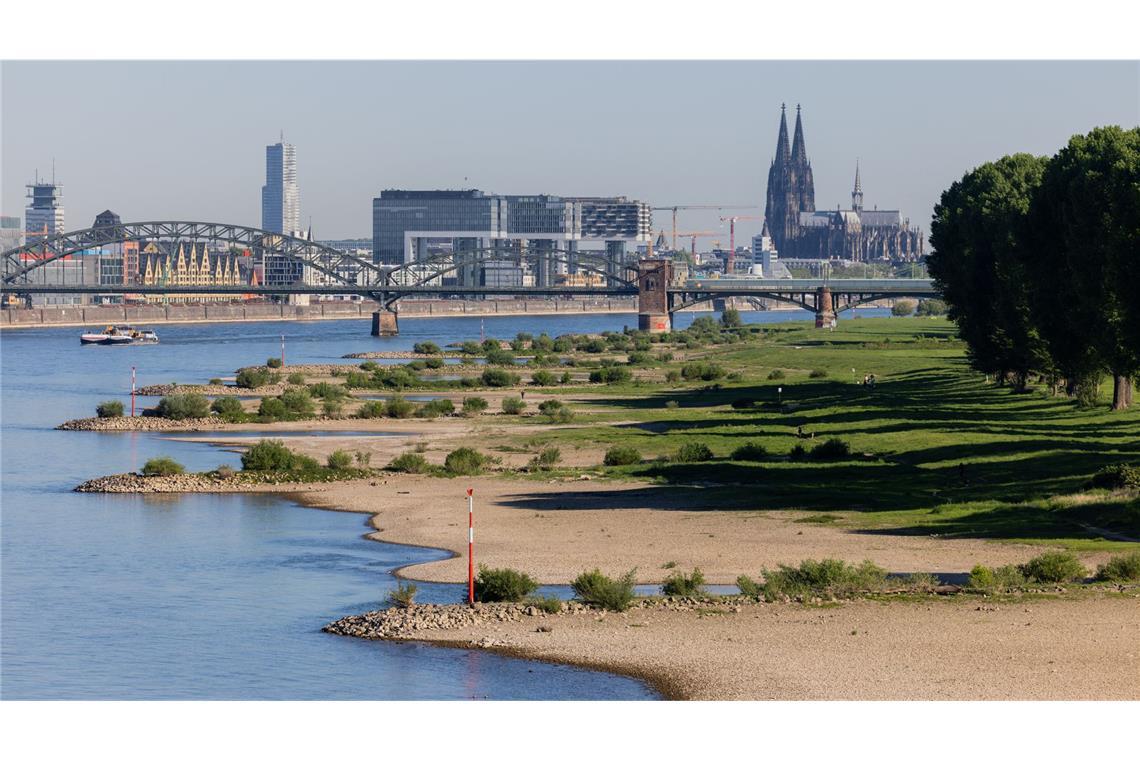 Blick auf den Rhein bei Köln: An 80 bis 90 Prozent aller Flusspegel in Deutschland herrschte im Hochsommer 2025 Niedrigwasser, auch schon im Früjahr gab es ausgeprägte Trockenheitsperioden.