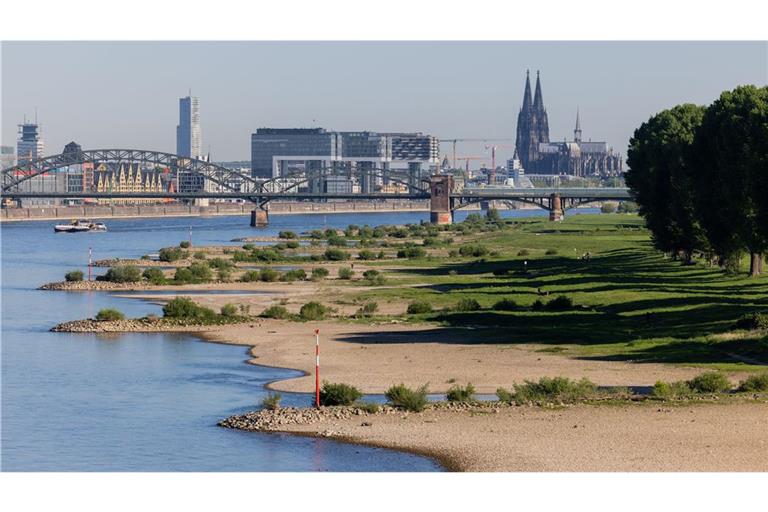 Blick auf den Rhein bei Köln: An 80 bis 90 Prozent aller Flusspegel in Deutschland herrschte im Hochsommer 2025 Niedrigwasser, auch schon im Früjahr gab es ausgeprägte Trockenheitsperioden.