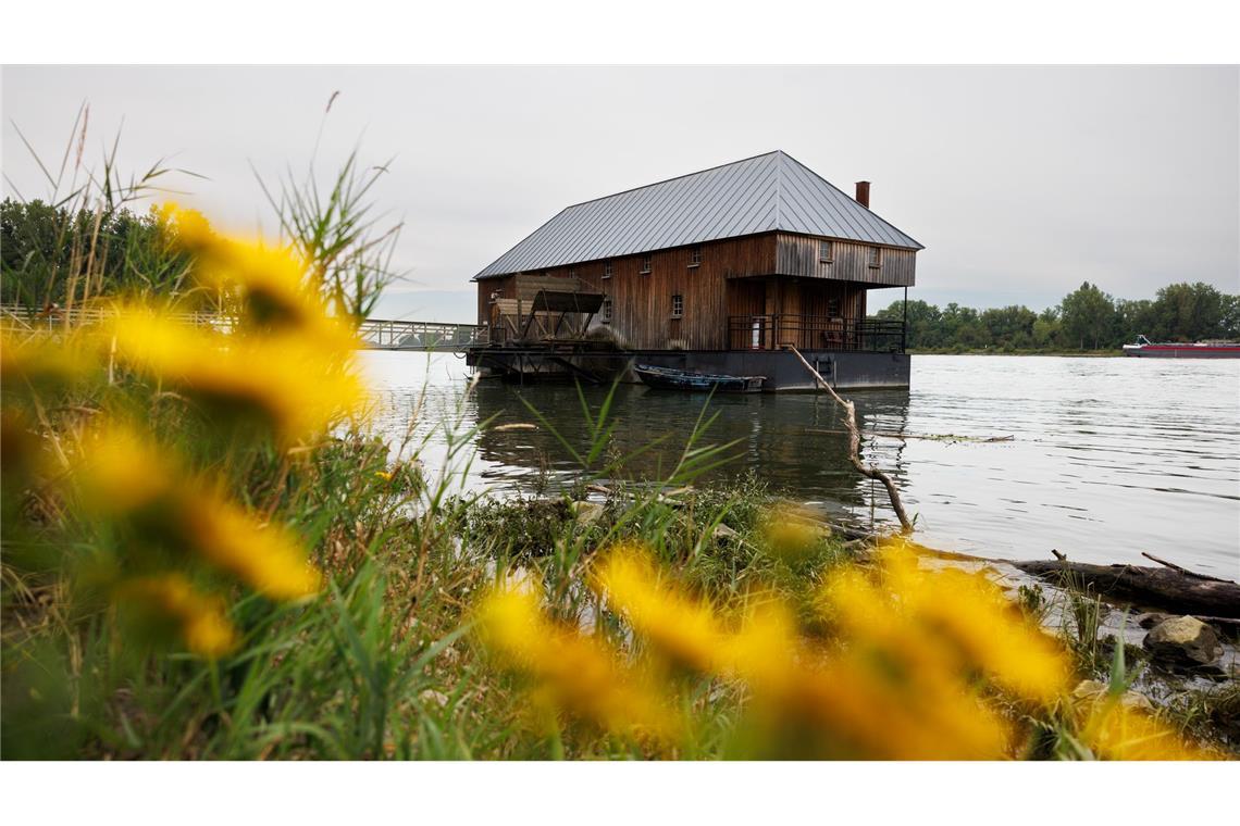Bilder des Tages Blick auf die Ginsheimer Schiffsmühle, die auf dem Rhein schwimmt.