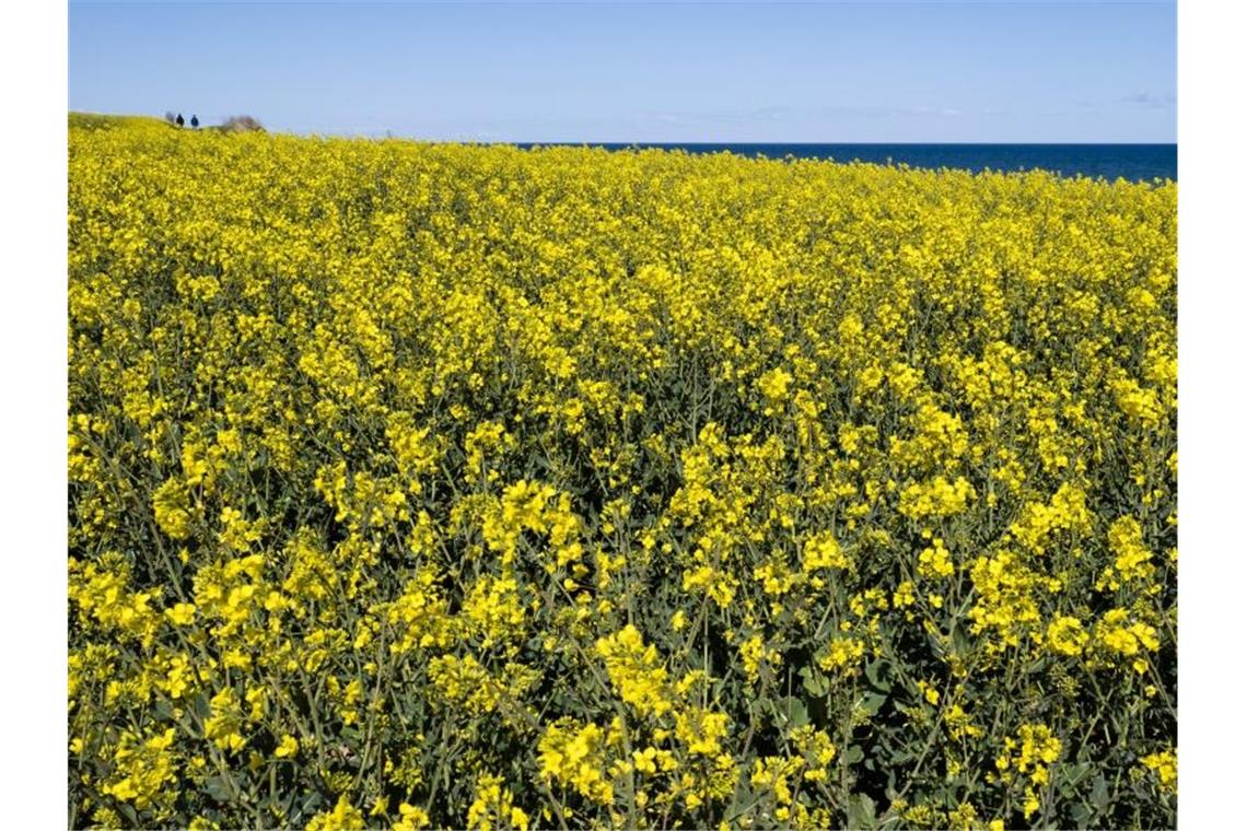 Sonniges und trockenes Pfingsten im Südwesten erwartet