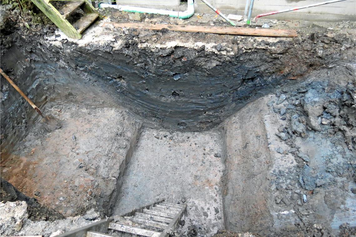 Was im Schatten der Murrhardter Mauern gedieh Blick in den Graben. Fotos: LAD