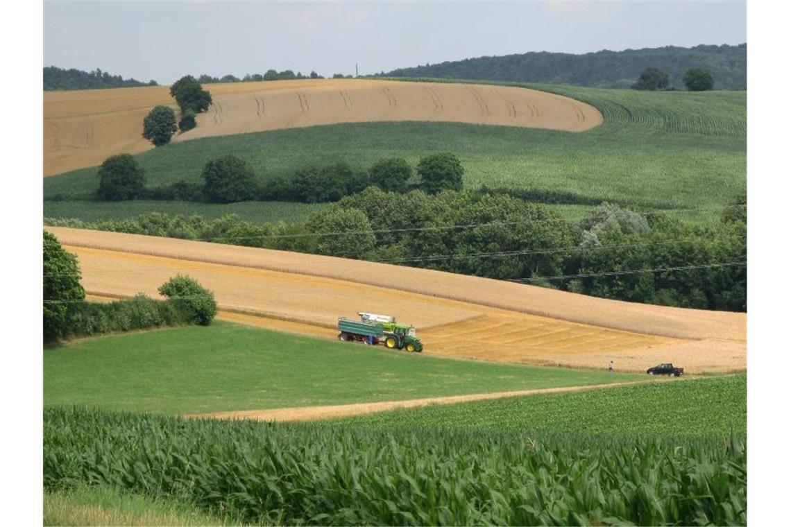 Blick in den Naturpark Stromberg-Heuchelberg. Foto: Roland Holschneider/dpa