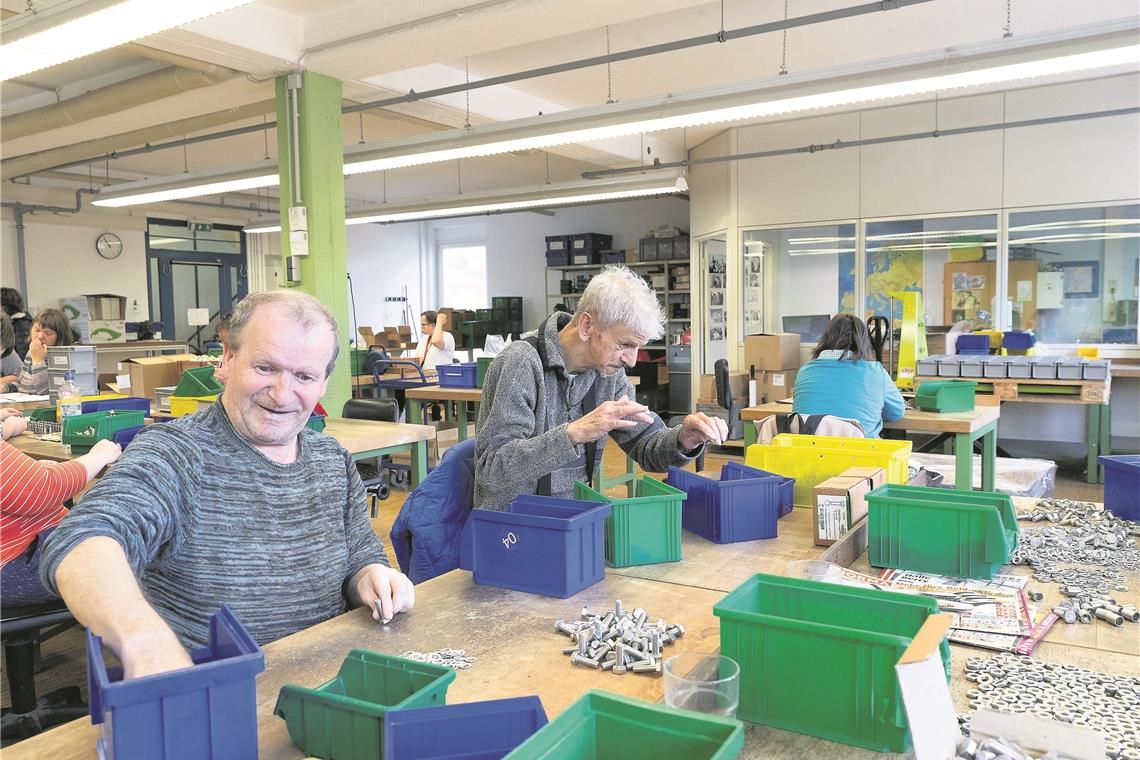 Blick in die Werkstatträume: Peter Bosch und Thomas Maurer (von links) an ihrem Montagearbeitsplatz. Insgesamt sind in der Murrhardter Einrichtung rund 100 Menschen beschäftigt. Fotos: J. Fiedler