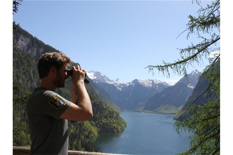 Blick über den Königssee im Nationalpark Berchtesgaden. Foto: Sabine Dobel/dpa