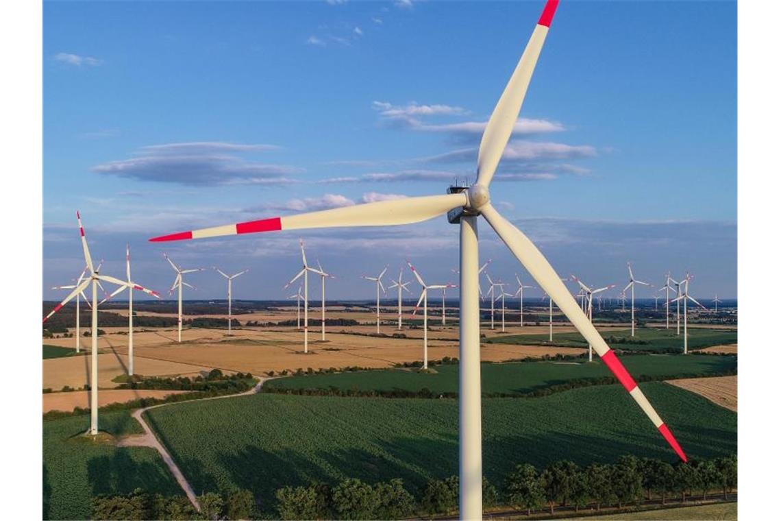 Studie: 1,8 Billionen nötig für annähernde Klimaneutralität Blick über einen Windpark in Brandenburg. Foto: Patrick Pleul/zb/dpa
