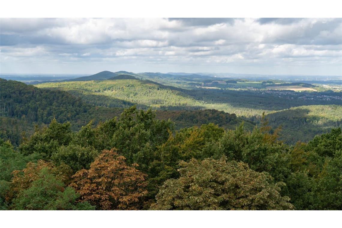 Blick vom Hermannsdenkmal über den Teutoburger Wald.