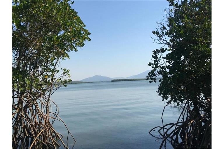 Blick von der Insel Worthington Island aufs Wasser. Foto: Privat/Craig Beckey/dpa