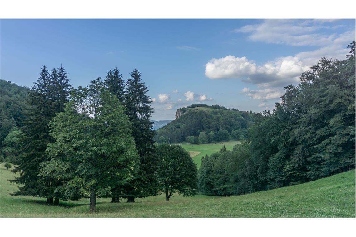 Blick zurück auf den Lochen vom Schafberg aus