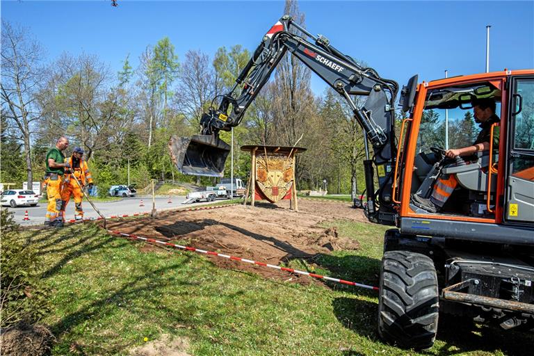 Blühwiese 2021 im Anfangsstadium: Auch dank des Insektenhotels von Forstwirtschaftsmeister Joachim Müller wird diese Fläche optisch aufgewertet und gibt in Summe mit der Blühfläche und den Insekten mittlerweile ein sehr stimmiges Bild ab. Archivfoto: Alexander Becher