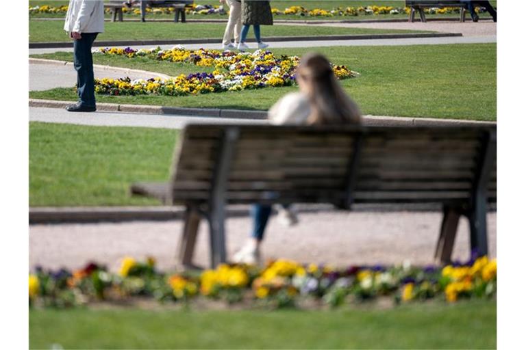 Blumen blühen in Beeten auf dem Schlossplatz. Foto: Marijan Murat/dpa