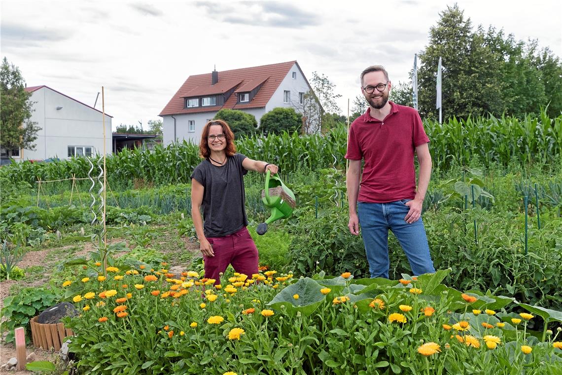 Blumen und Gemüse in den Gärtchen von Elisabeth Späth und Karsten Maybee gedeihen prächtig. Fotos: J. Fiedler