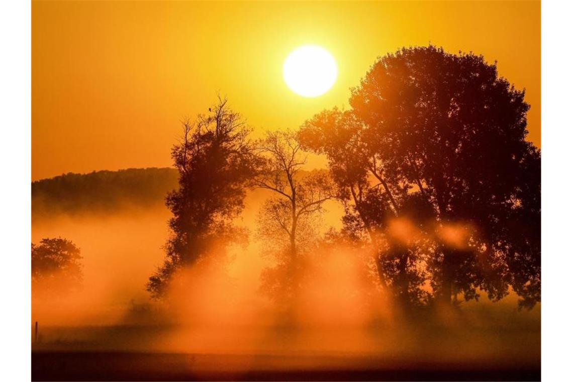 Bodennebel im Licht der aufgehenden Sonne in einem Naturschutzgebiet in Baden-Württemberg. Foto: Thomas Warnack/dpa