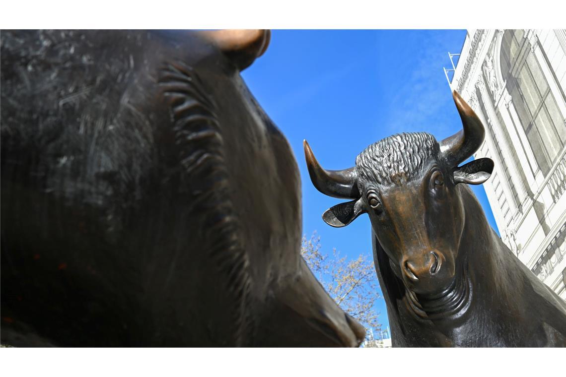 Börse Frankfurt: 2025 hatten die Bullen die Oberhand (Archivbild)
