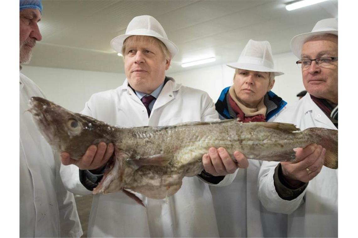 Boris Johnson (2.v.l.) bei einem Wahlkampf-Besuch auf dem Grimsby Fish Market. Fischer werfen dem britischen Premier vor, es gebe „eine beträchtliche Anzahl“ von ihnen, denen es deutlich schlechter gehe als vor dem Deal. Foto: Stefan Rousseau/PA Wire/dpa