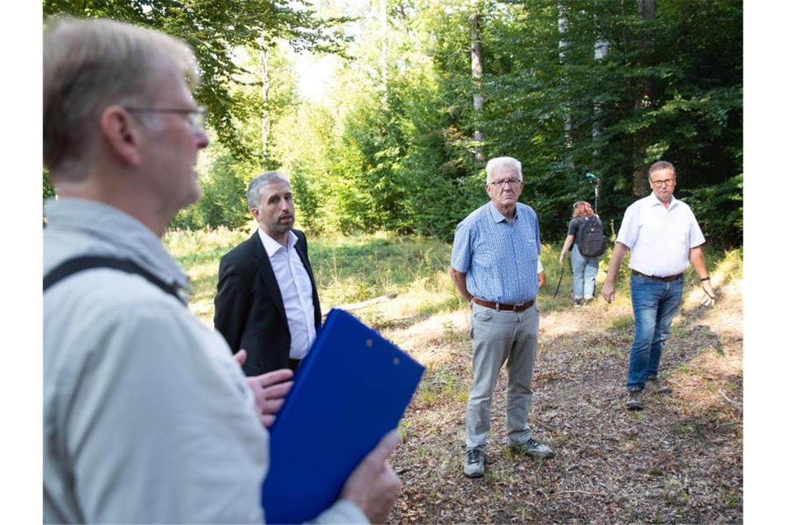 Kretschmann und Palmer sprechen von neuem Waldsterben